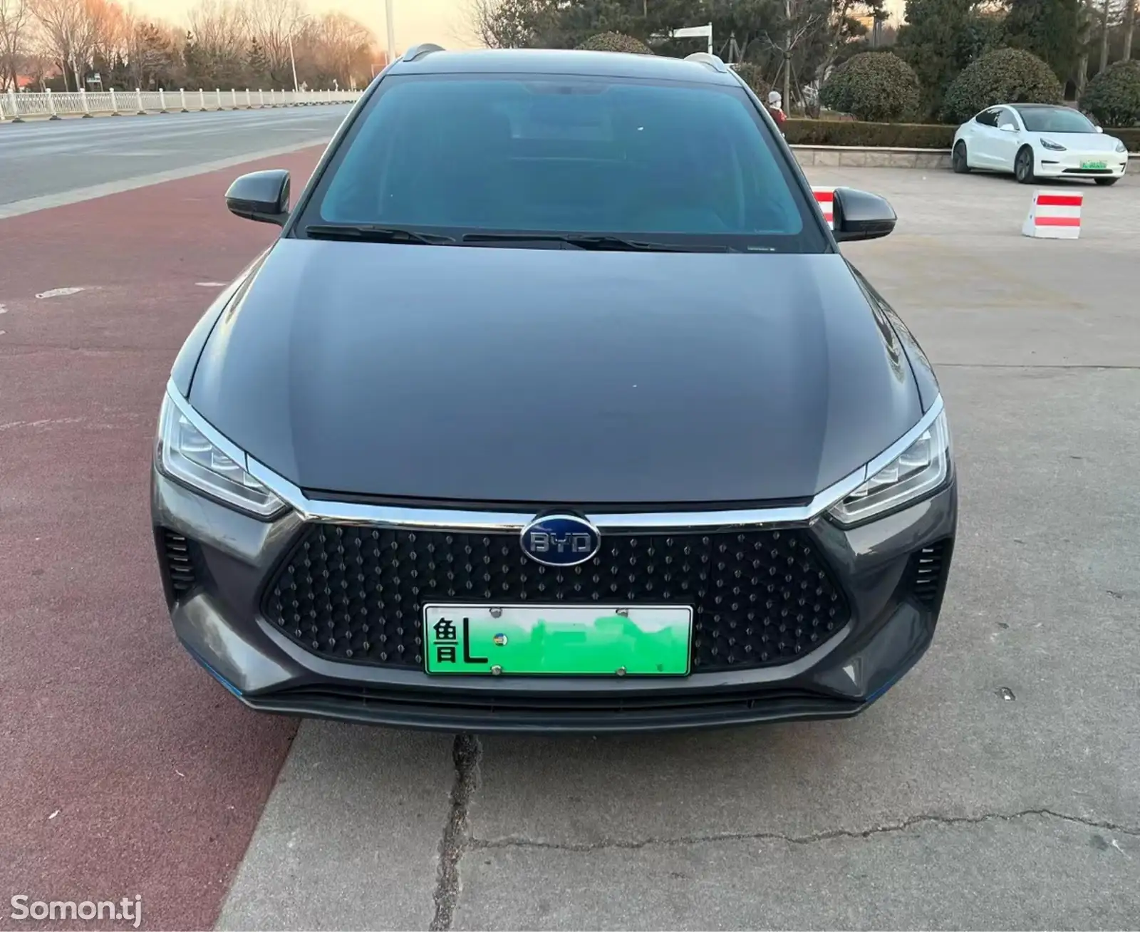 BYD E2, 2019-1