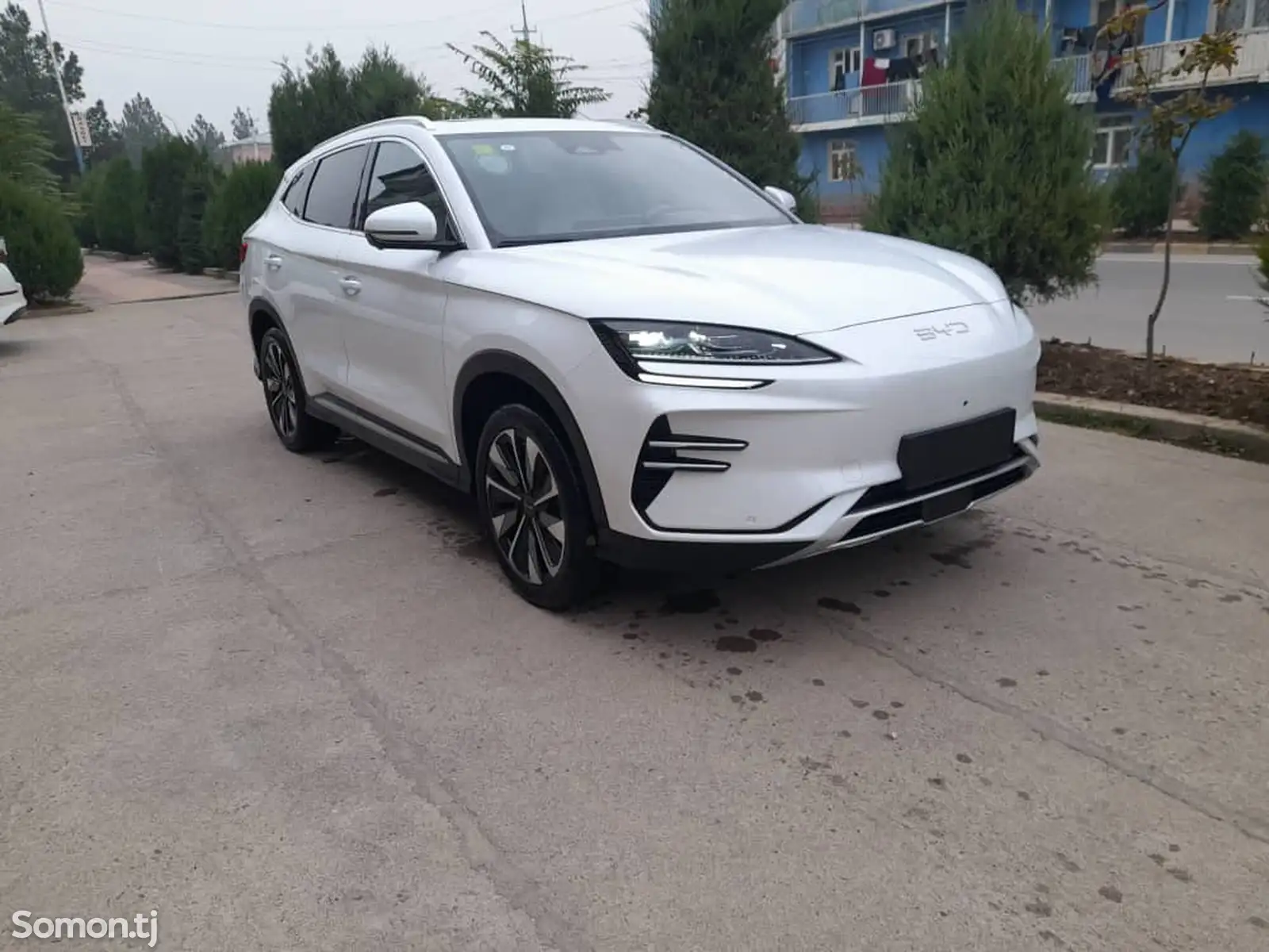 BYD Song Plus Flagship, 2024-1