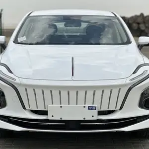 Hongqi E-QM5, 2024