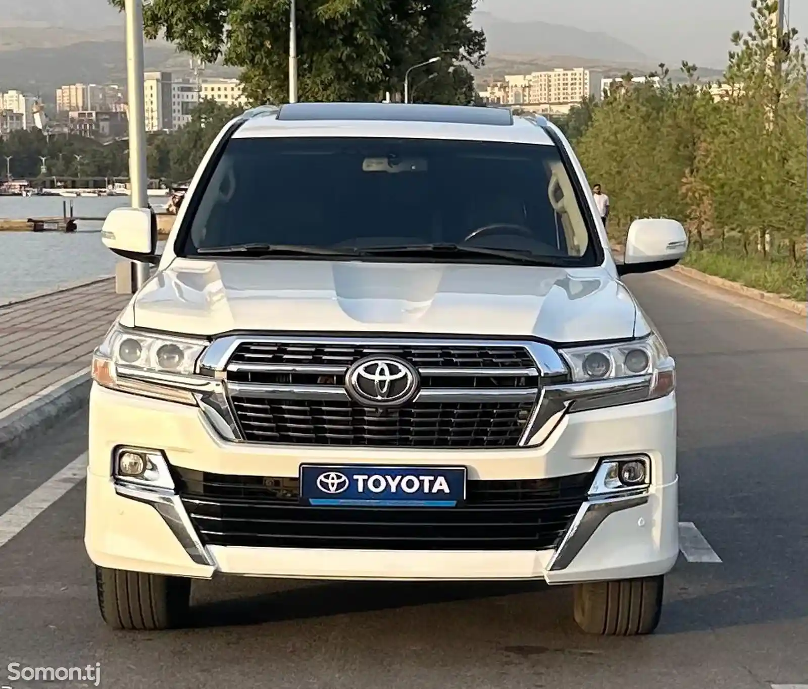 Toyota Land Cruiser, 2010-1