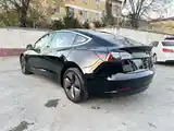 Tesla Model 3, 2019-7