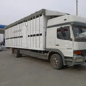 Бортовой гурузовик Mercedes-Benz Atego 1223, 2001