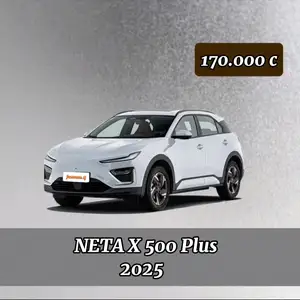 Neta X, 2024