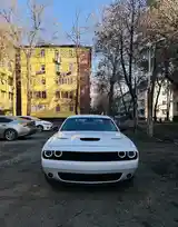 Dodge Challenger, 2019-4