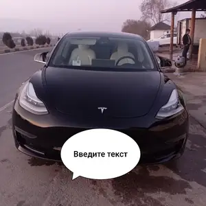 Tesla Model 3, 2021