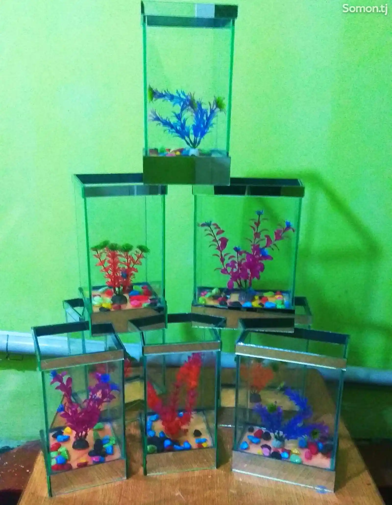 Настольный мини аквариум 4л с рыбками-2