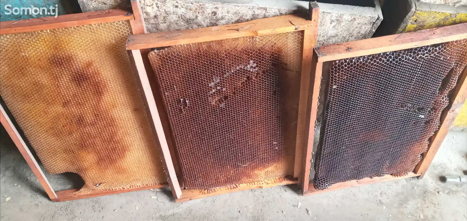 Рамки для пчёл-1