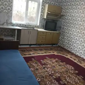 2-комн. квартира, Цокольный этаж, 110м², мясо комбинат