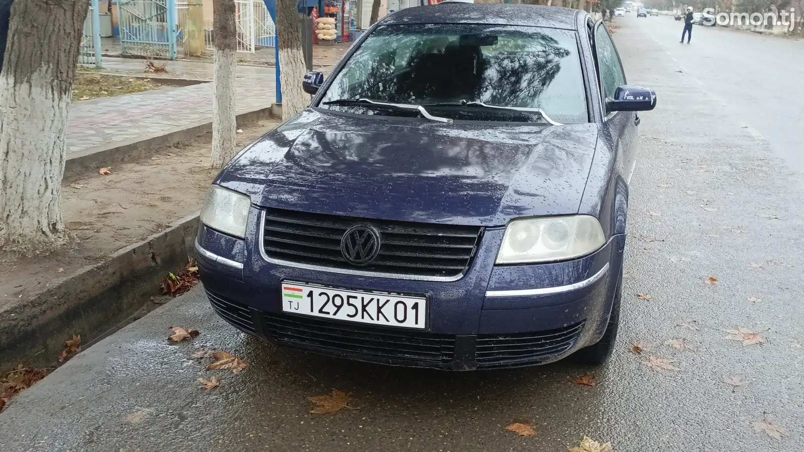 Volkswagen Passat, 2001-1