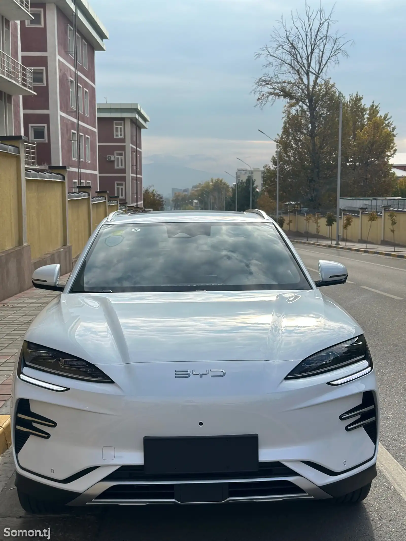 BYD Song Plus Flagship, 2024-1