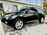 Lexus RX series, 2010-3