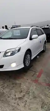 Toyota Fielder, 2010-2