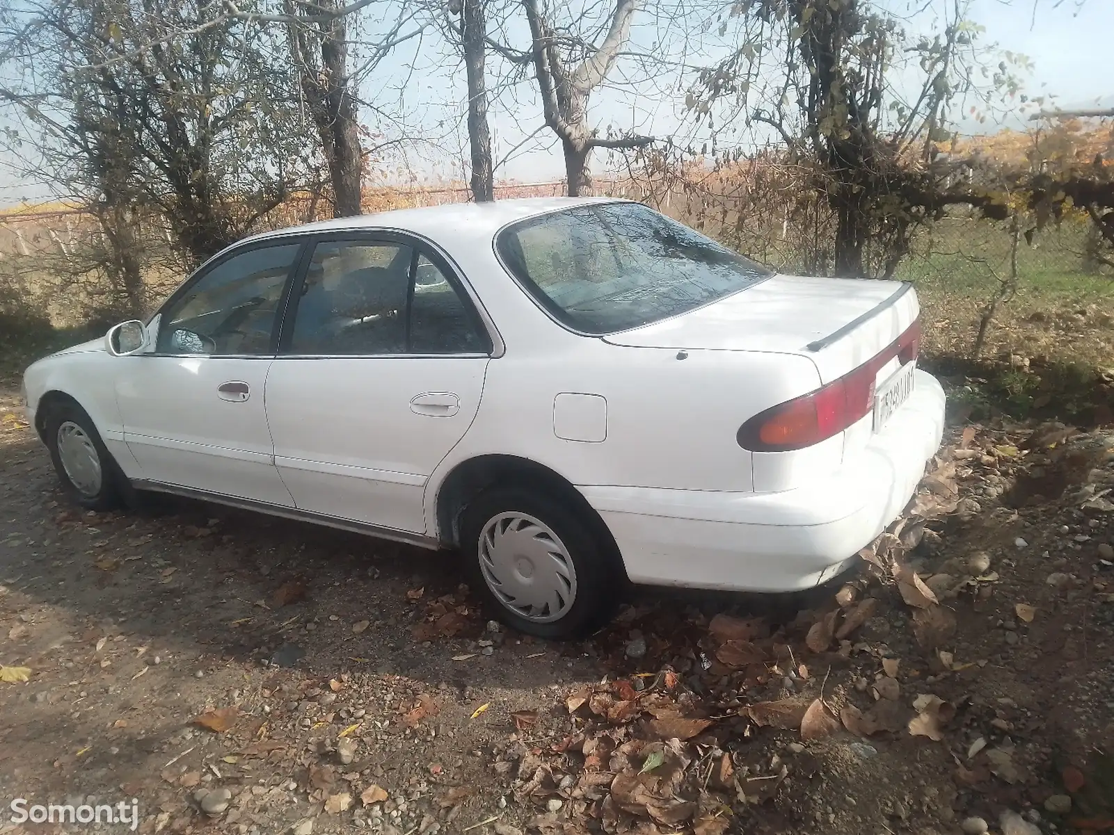 Hyundai Sonata, 1994-1