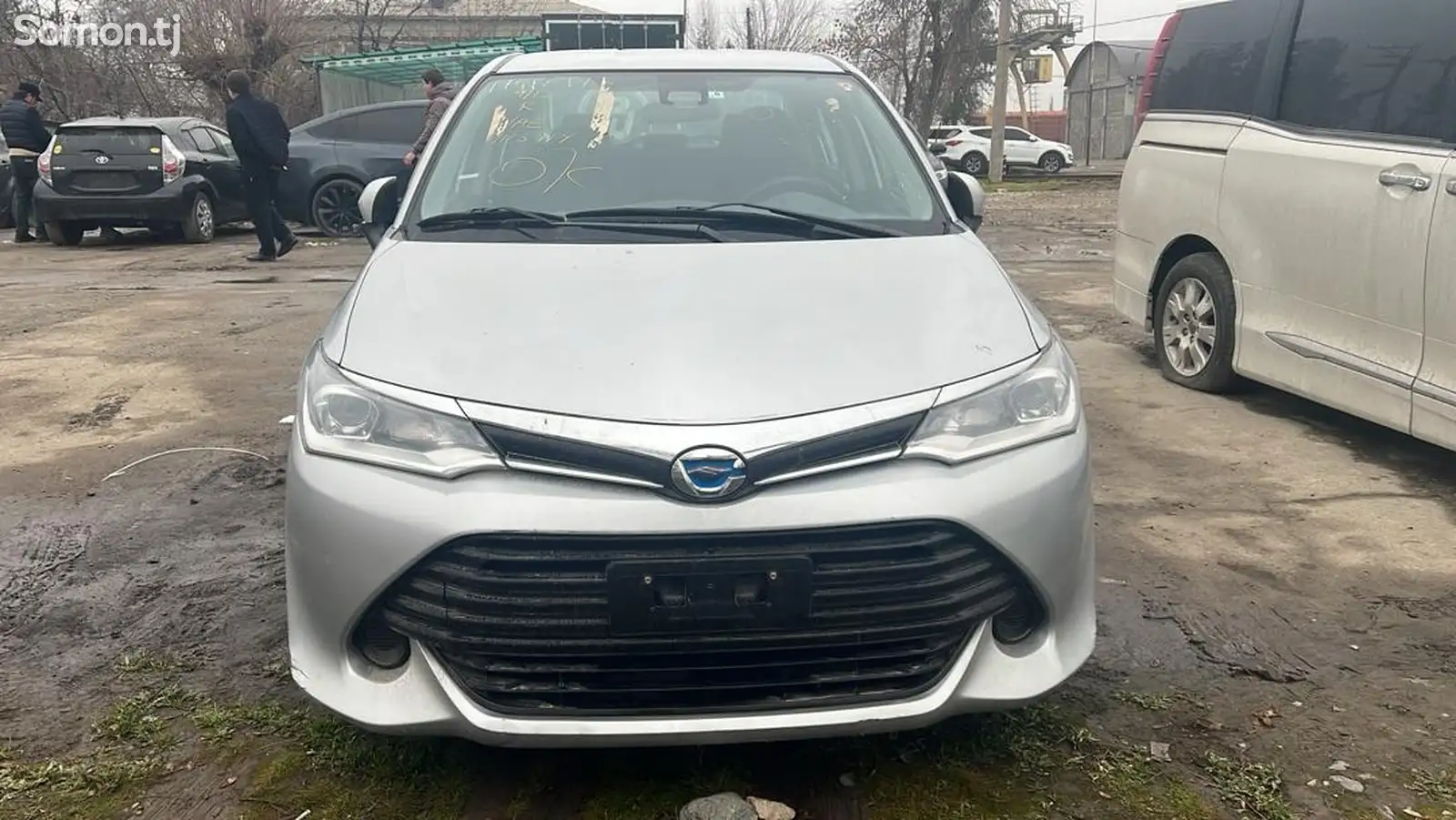 Toyota Axio, 2017-1