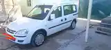 Opel Combo, 2007-4