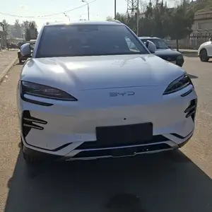 BYD Song Plus, 2024