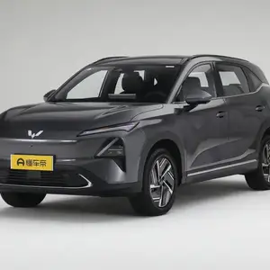 Wuling Starlight, 2024