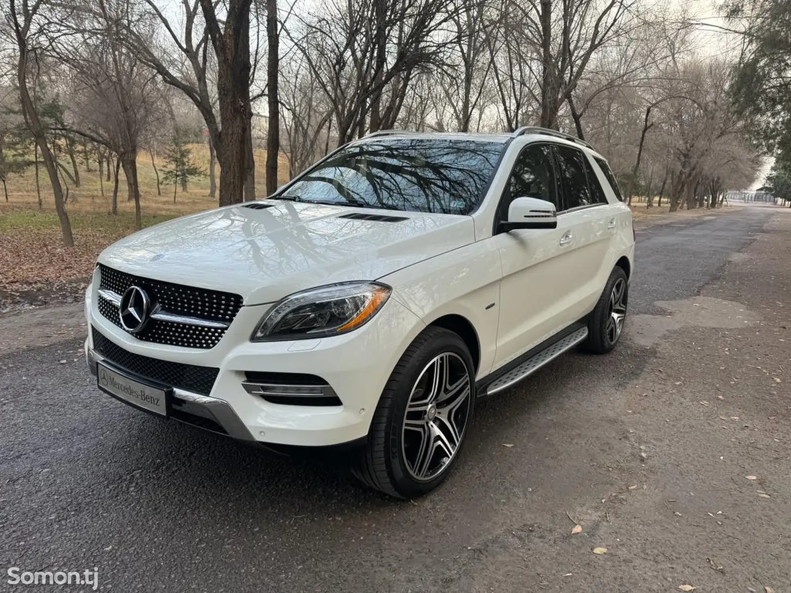 Mercedes-Benz ML class, 2013-1