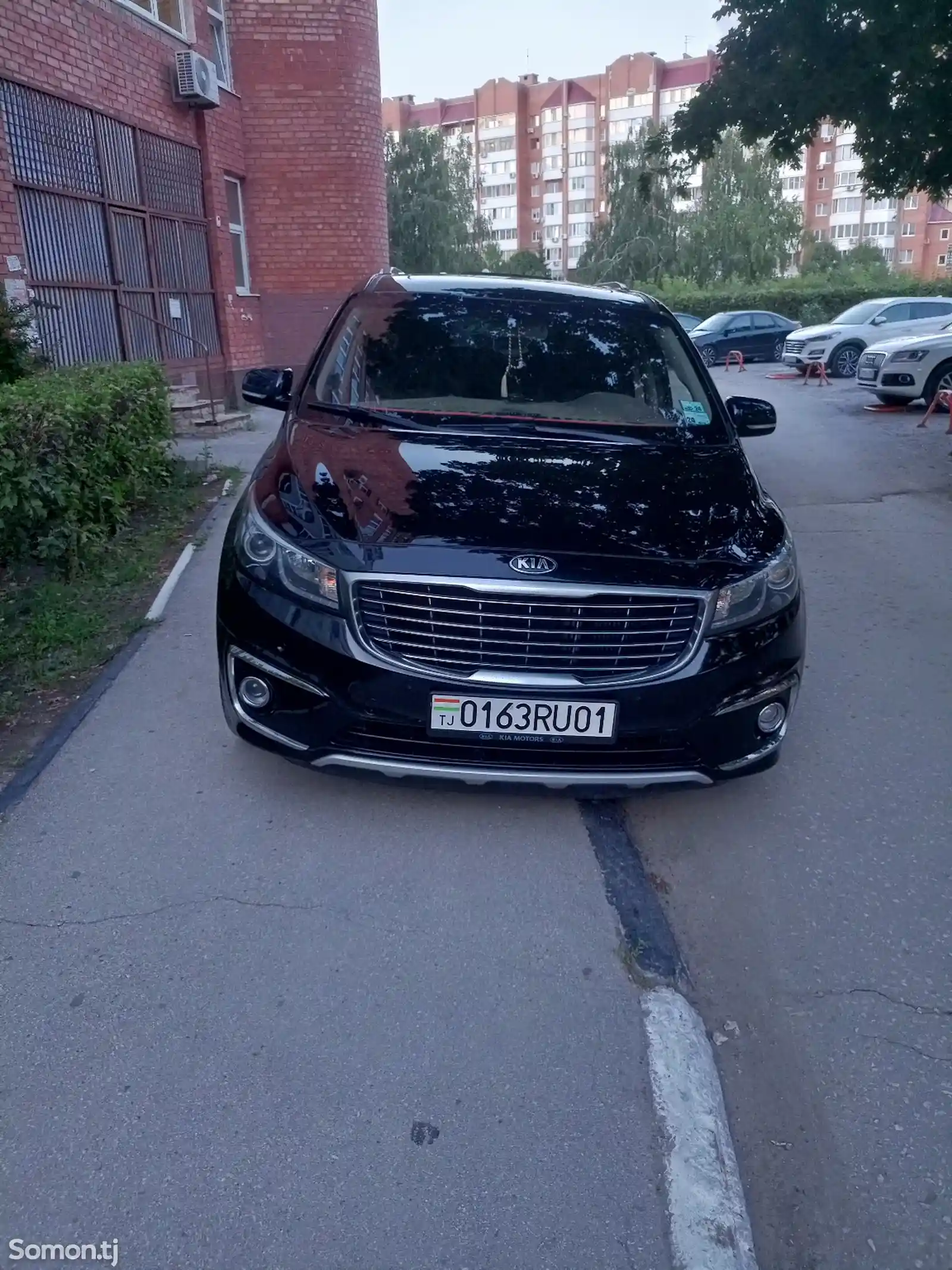 Kia Carnival, 2016-10