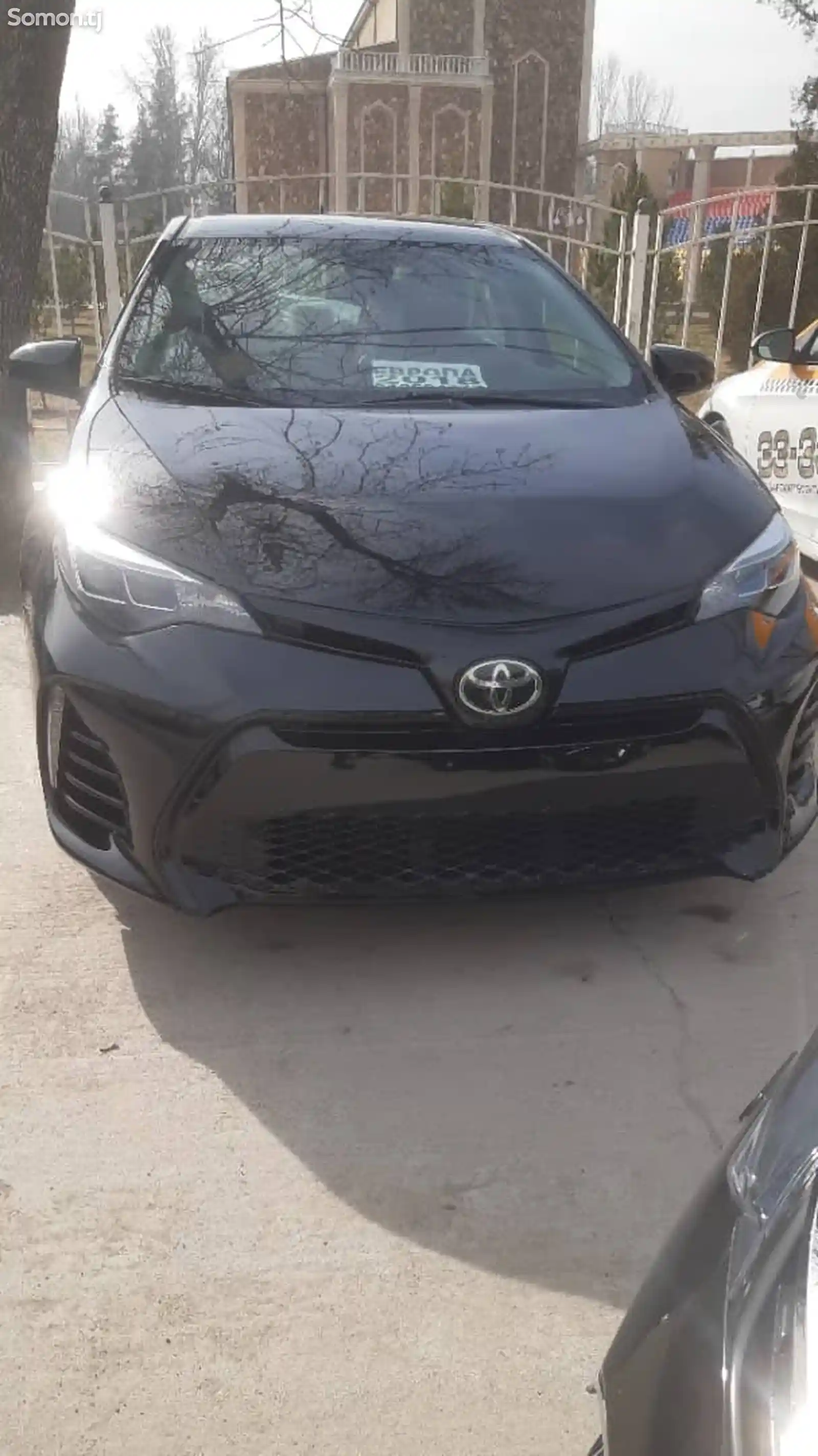 Toyota Corolla, 2019-11