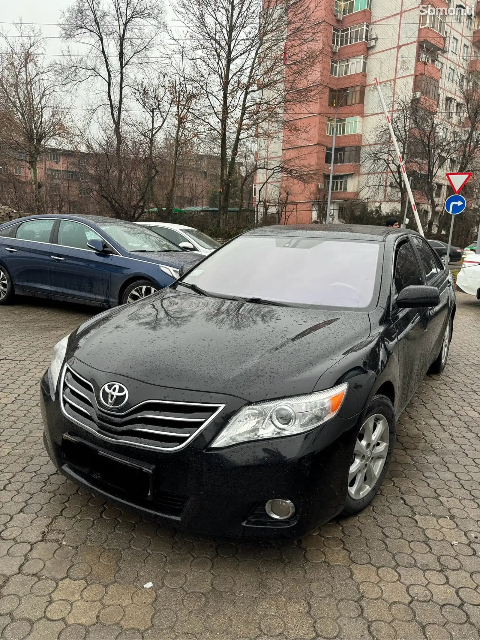 Toyota Camry, 2010-1