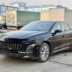 Hongqi E-QM5, 2024