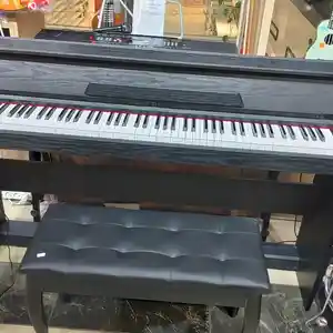 Электронное профессиональное пианино
