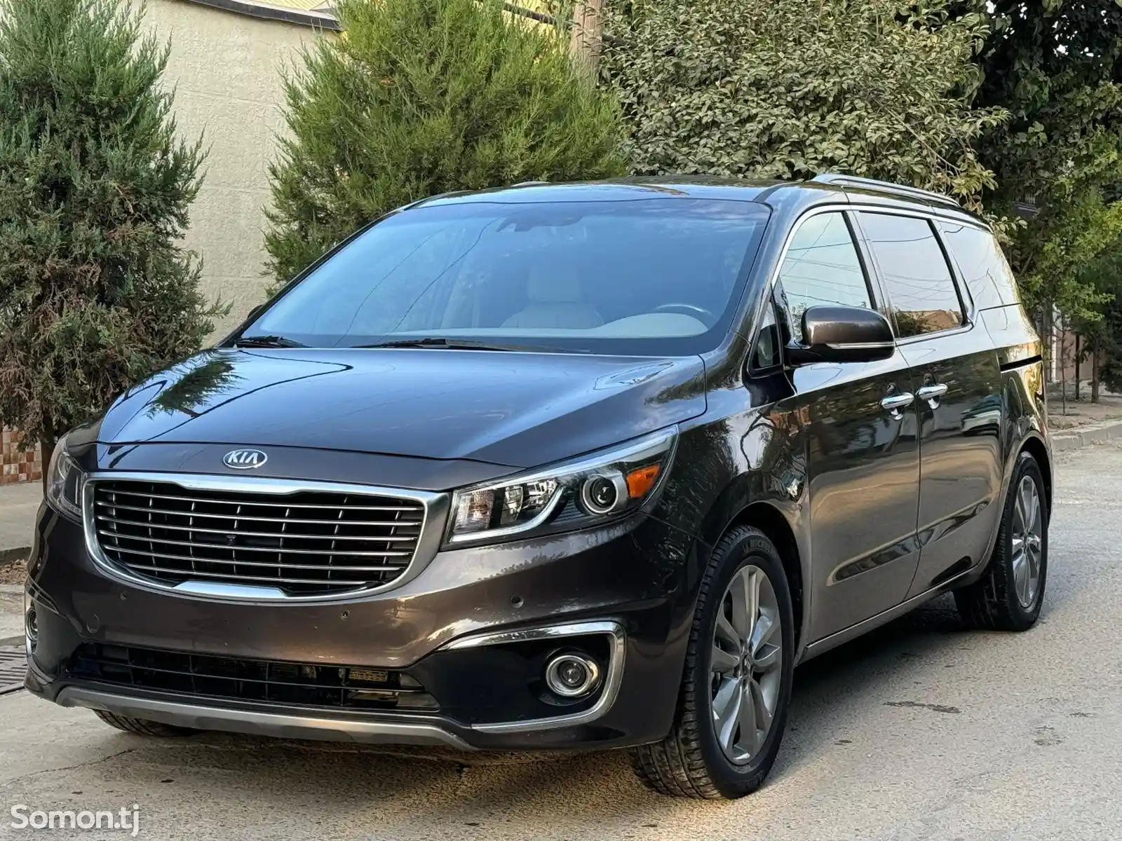 Kia Carnival, 2015-1