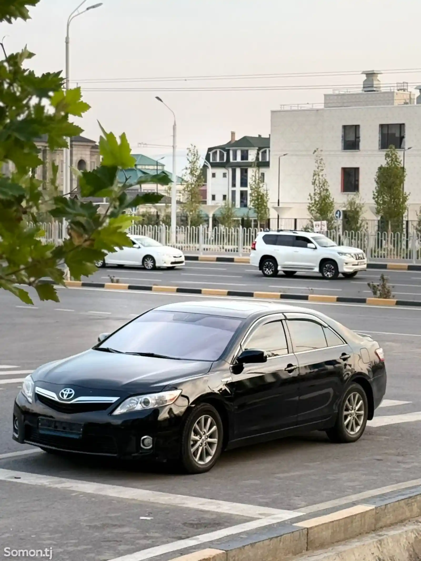 Toyota Camry, 2010-5