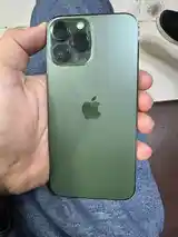 Apple iPhone 13 Pro Max, 512 gb, Alpine Green-5