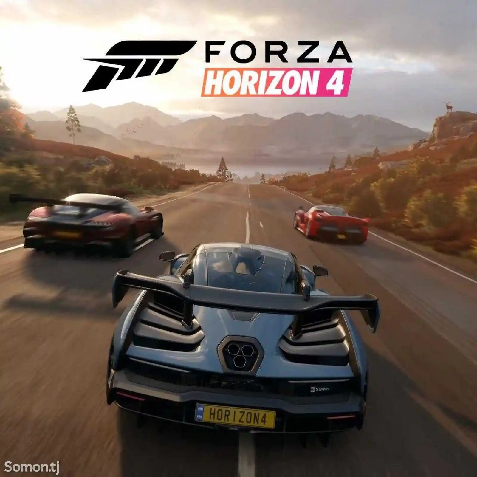 Антология игры Forza Horizon-5