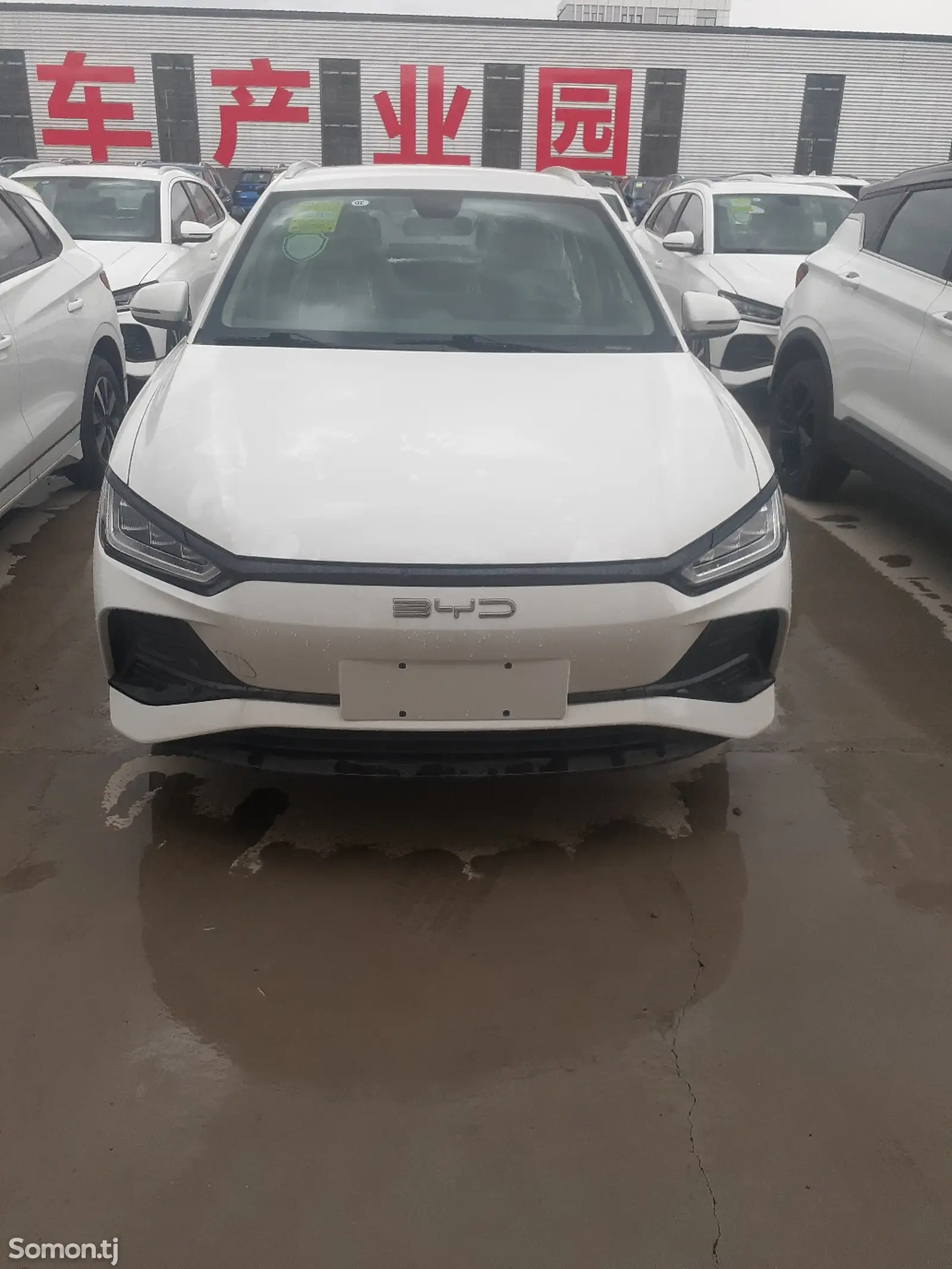 BYD E2, 2024-5