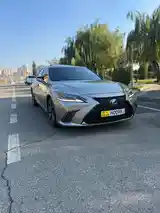 Lexus ES series, 2019-2