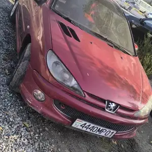 Peugeot 206, 2007