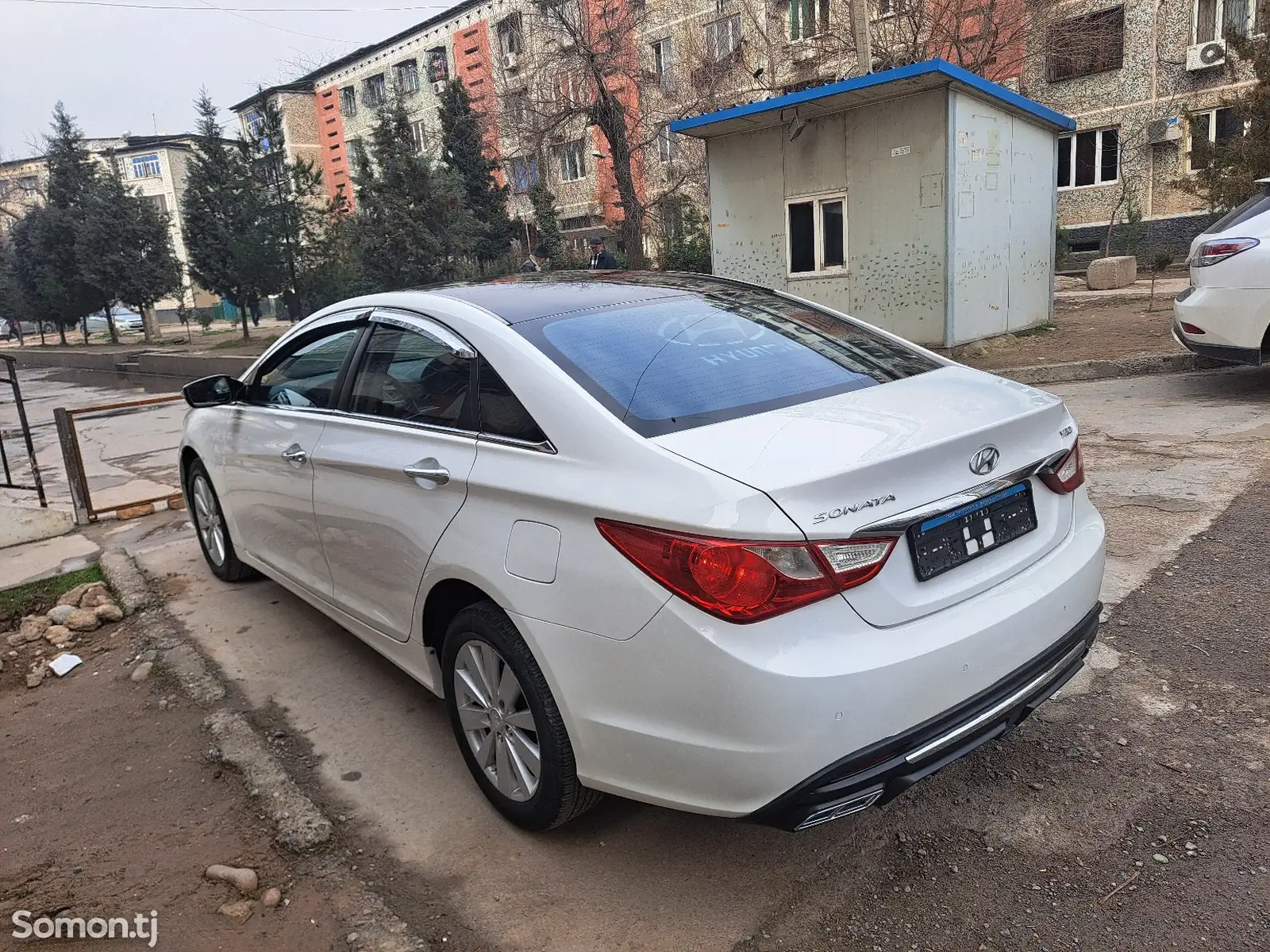 Hyundai Sonata, 2010-1