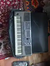 Синтезатор Korg Pa900-2