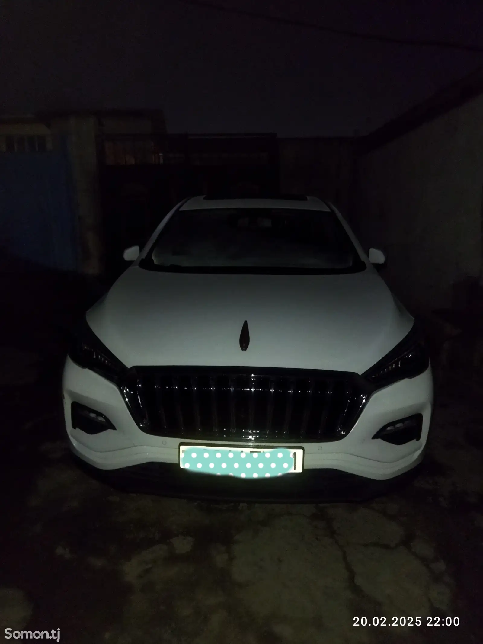 Hongqi E-HS3, 2019-1