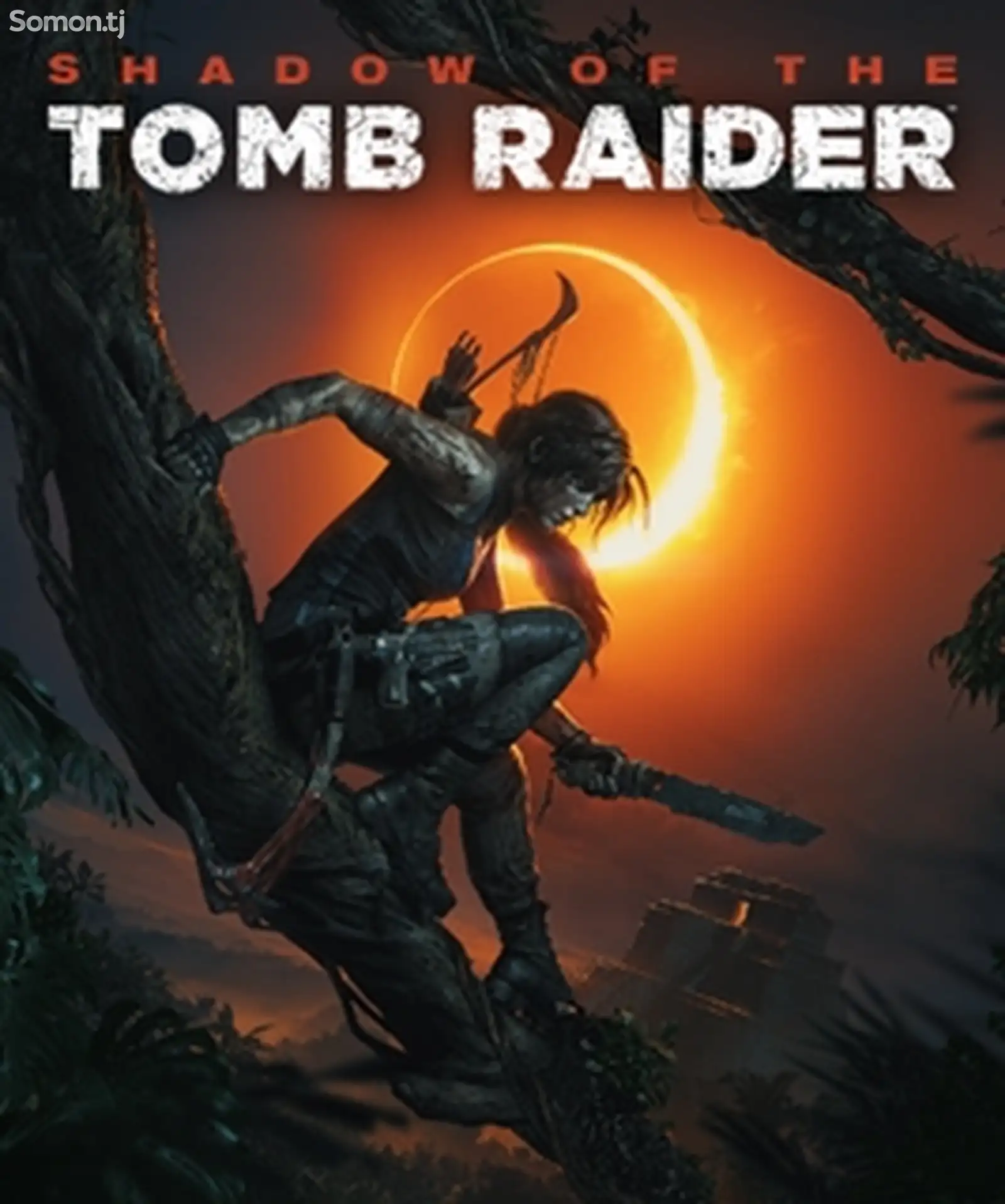 Игра на пк, Shadow of the Tom Raider