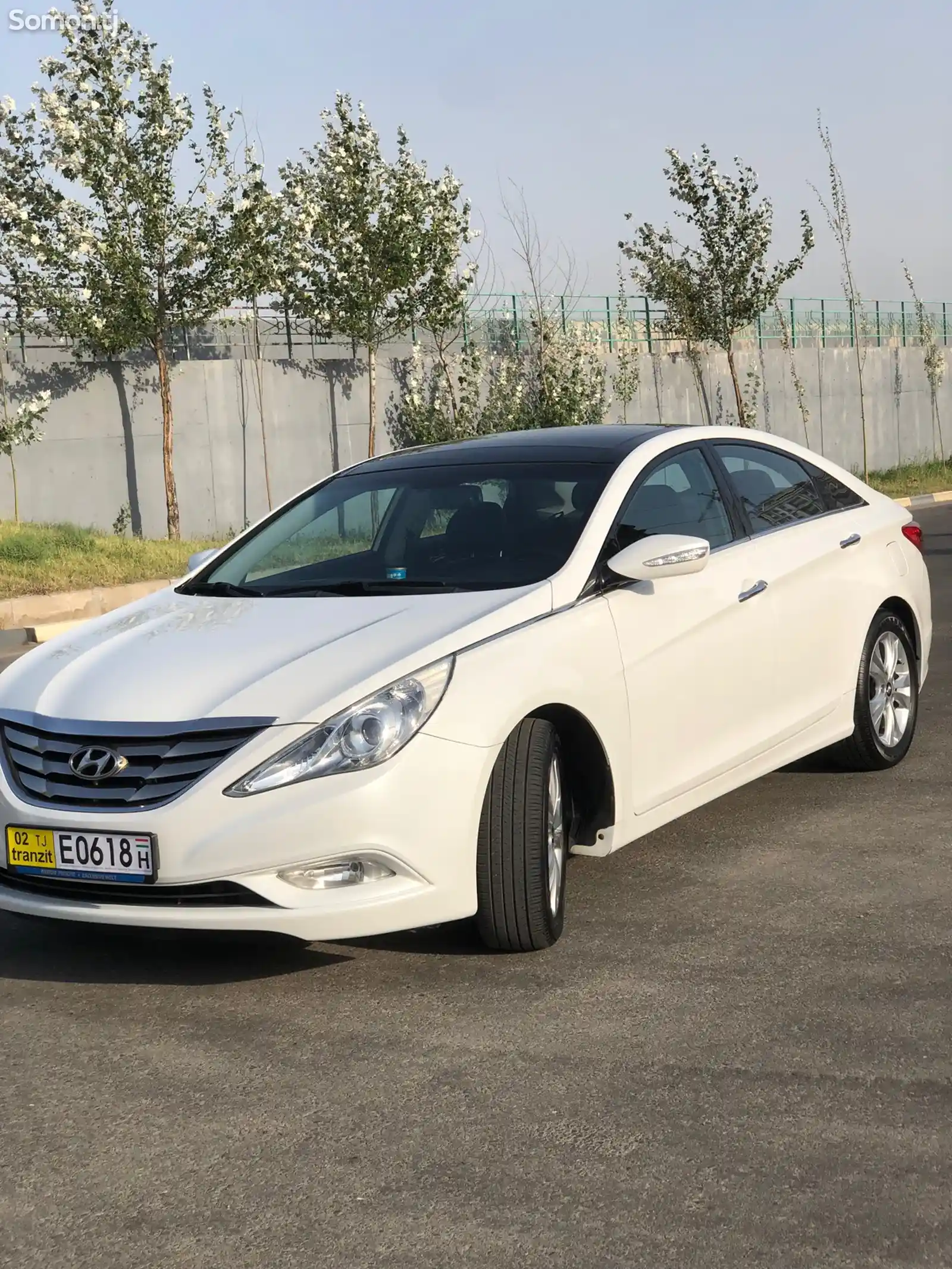 Hyundai Sonata, 2010-4