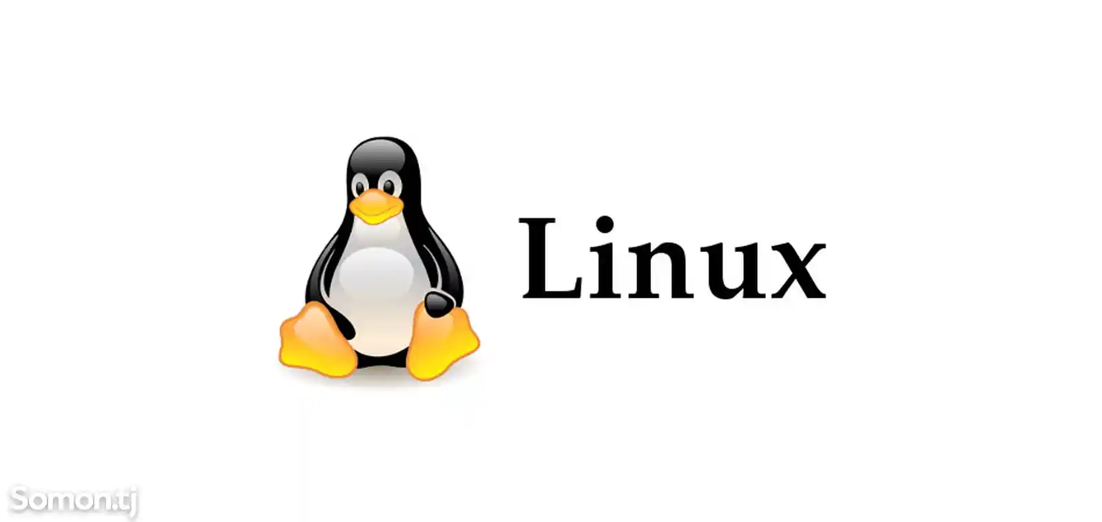 Установка Windows & Linux-3