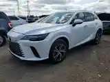 Lexus RX series, 2023-3