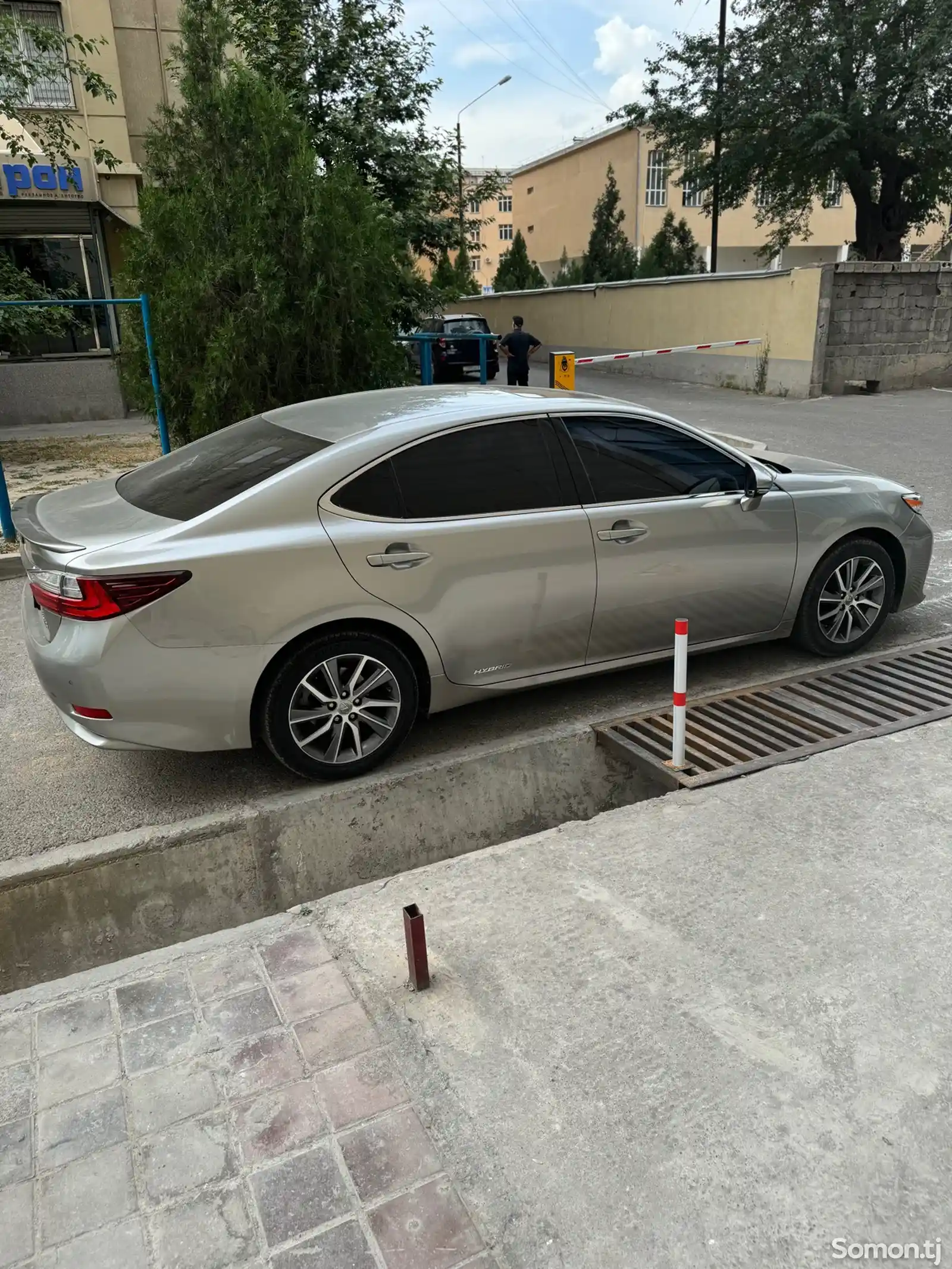 Lexus ES series, 2016-2