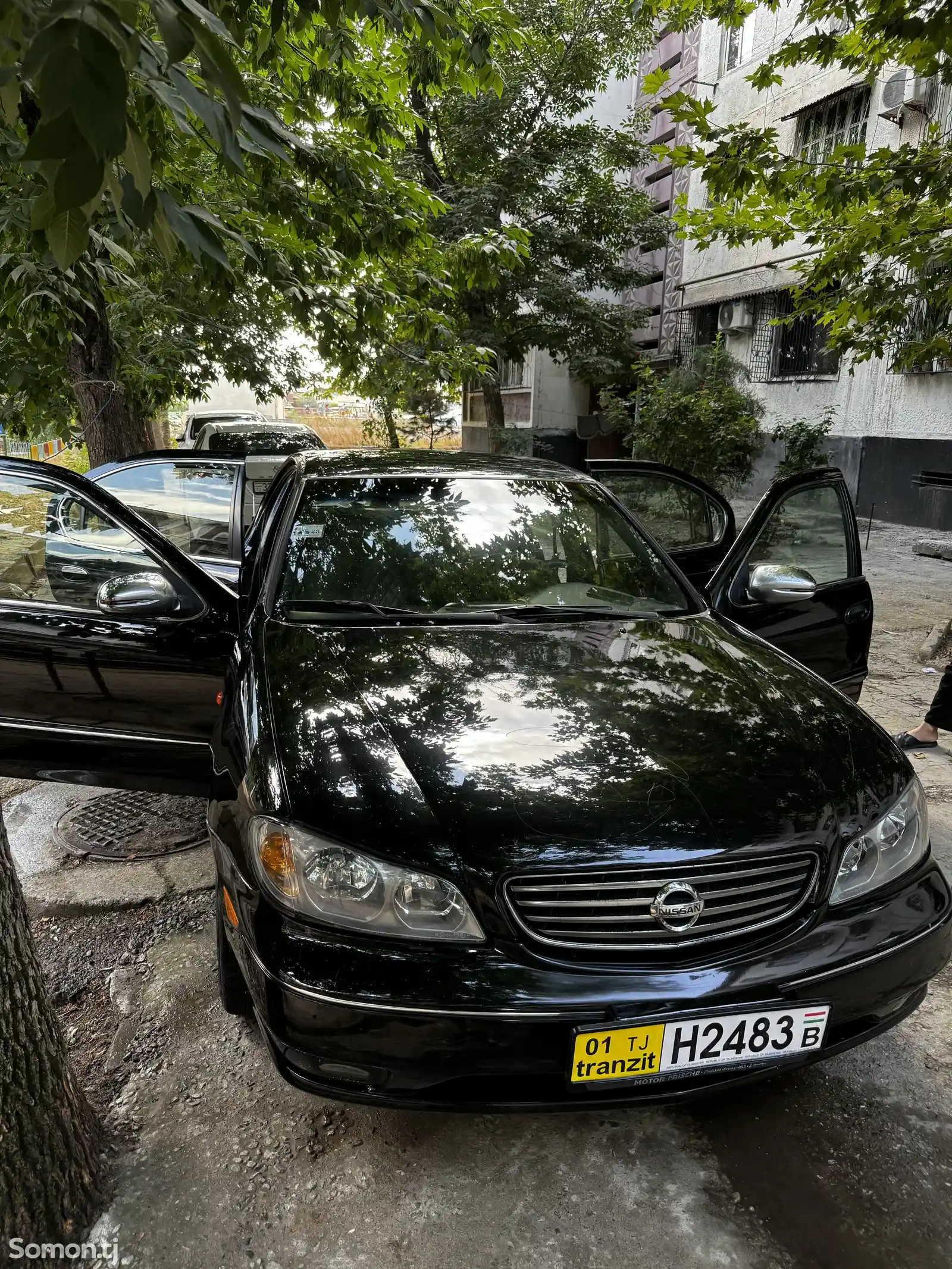 Nissan Maxima, 2005-14