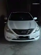 Hyundai Sonata, 2010-8