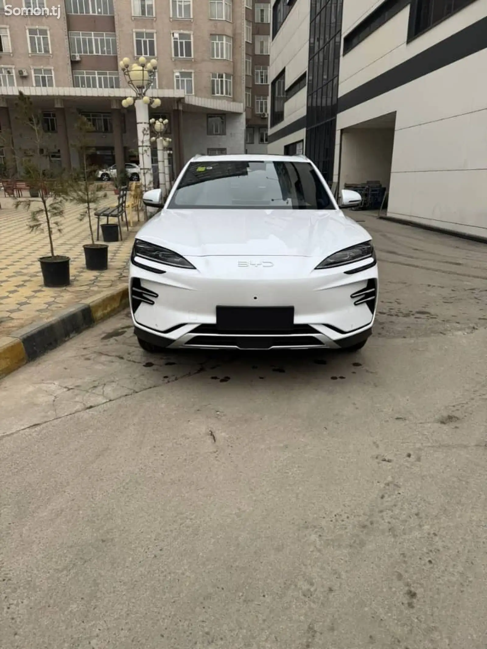 BYD Song Plus Flagship, 2024-1