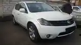 Nissan Murano, 2007-5