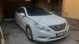 Hyundai Sonata, 2010-3