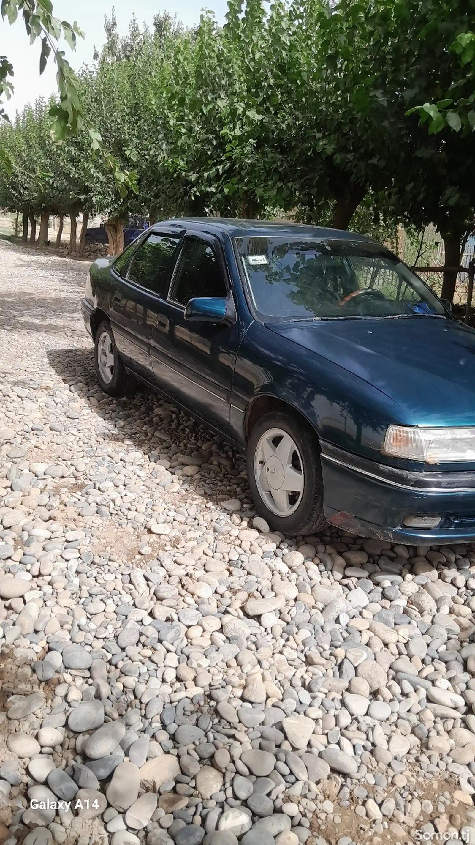 Opel Vectra A, 1995-7