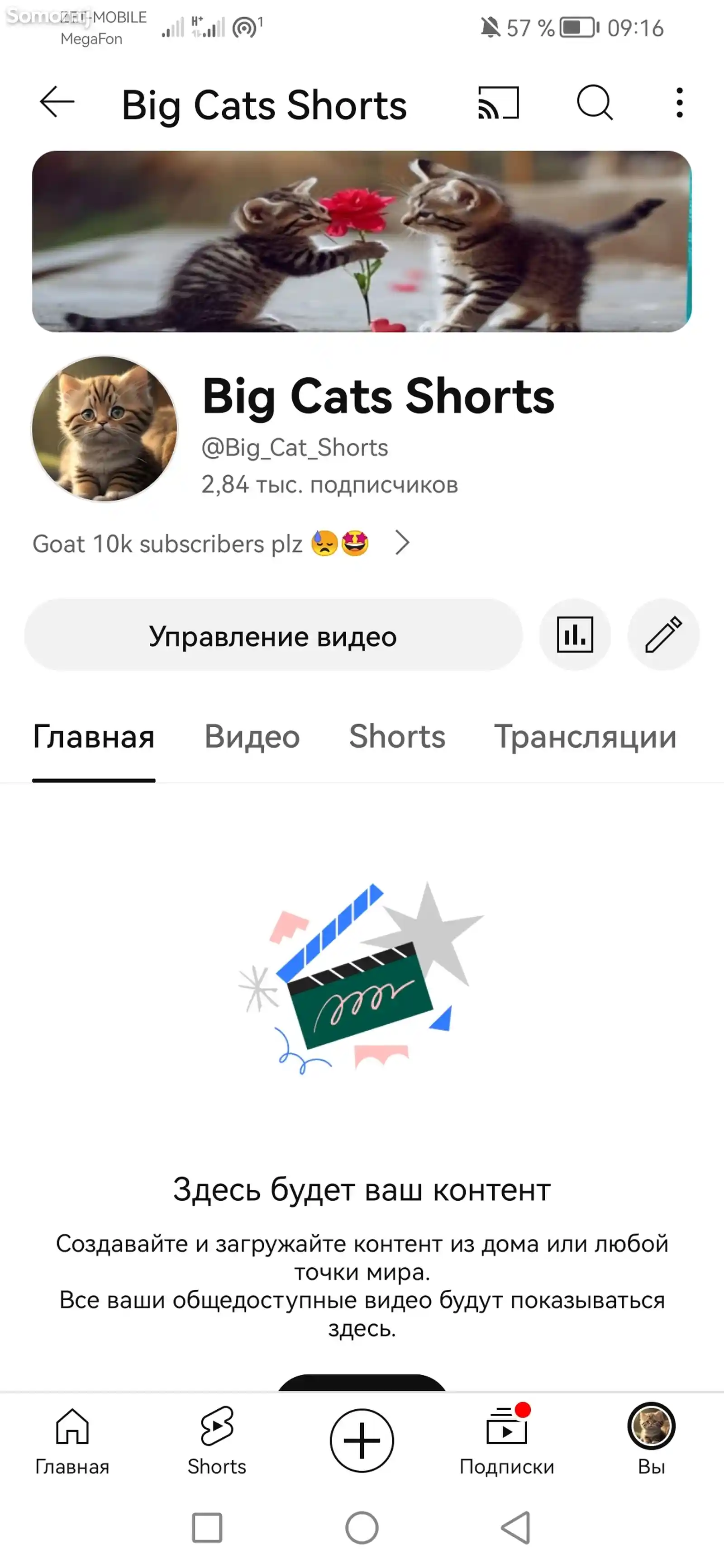 YouTube канал Big Cats shorts