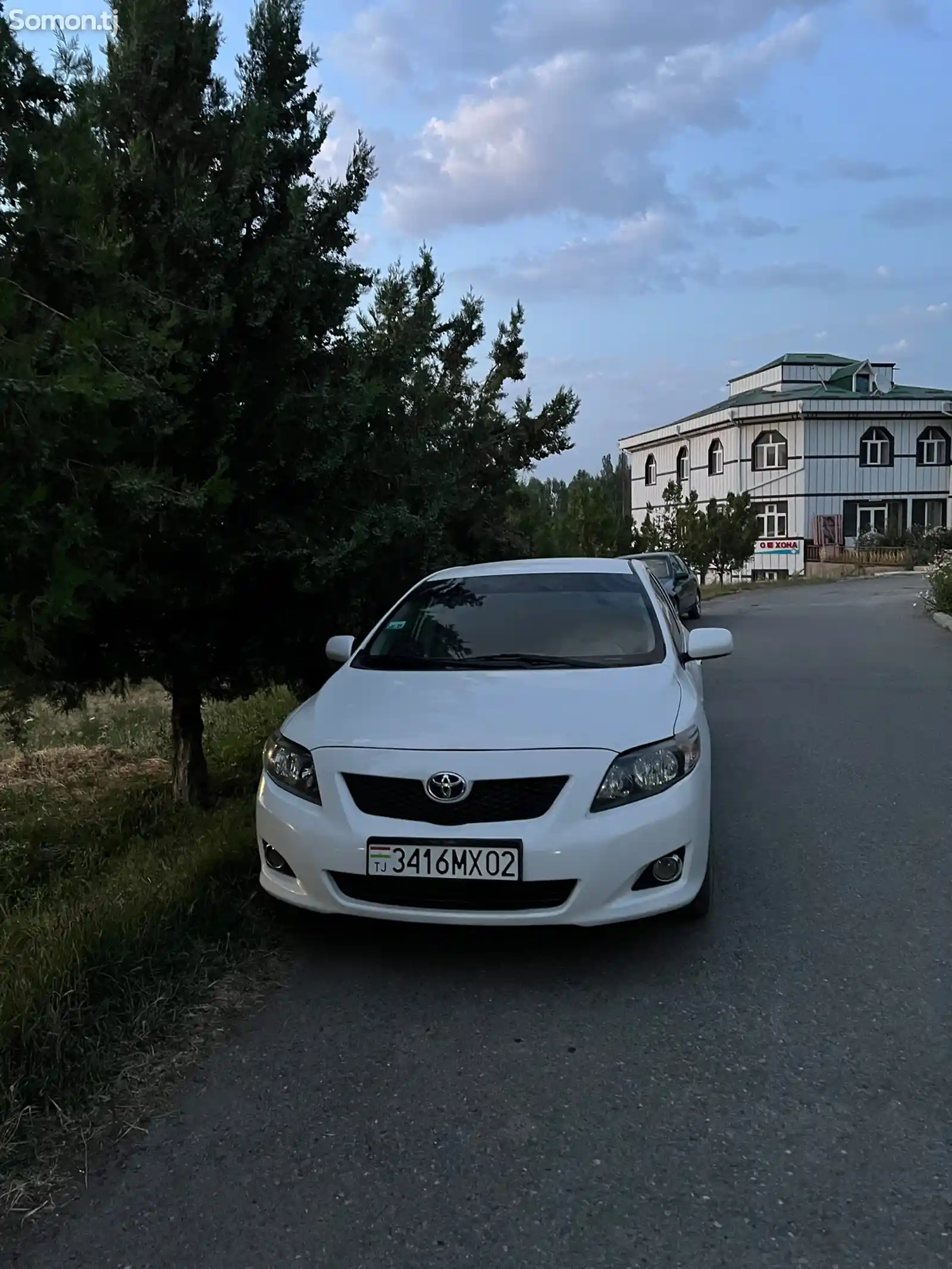 Toyota Corolla, 2010-7